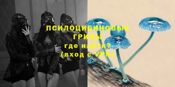 сатива Абинск
